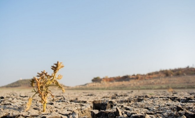 noi-masuri-de-sprijin-cu-caracter-temporar-destinate-producatorilor-agricoli-in-scopul-gestionarii-s19895